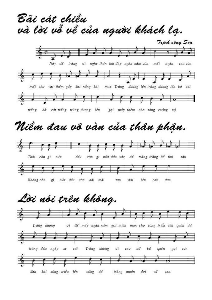 Bãi Cát Chiều Và Lời Vỗ Về Của Người Khách Lạ sheet