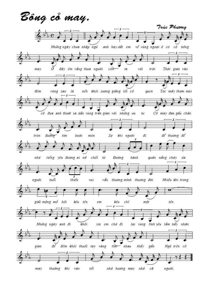 Bóng Cỏ May sheet