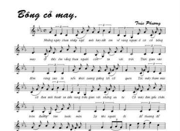 Bông Cỏ May sheet có lời