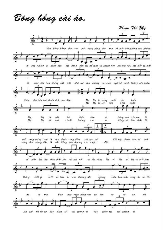 Bông Hồng Cài Áo sheet