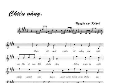 Chiều vàng sheet có lời