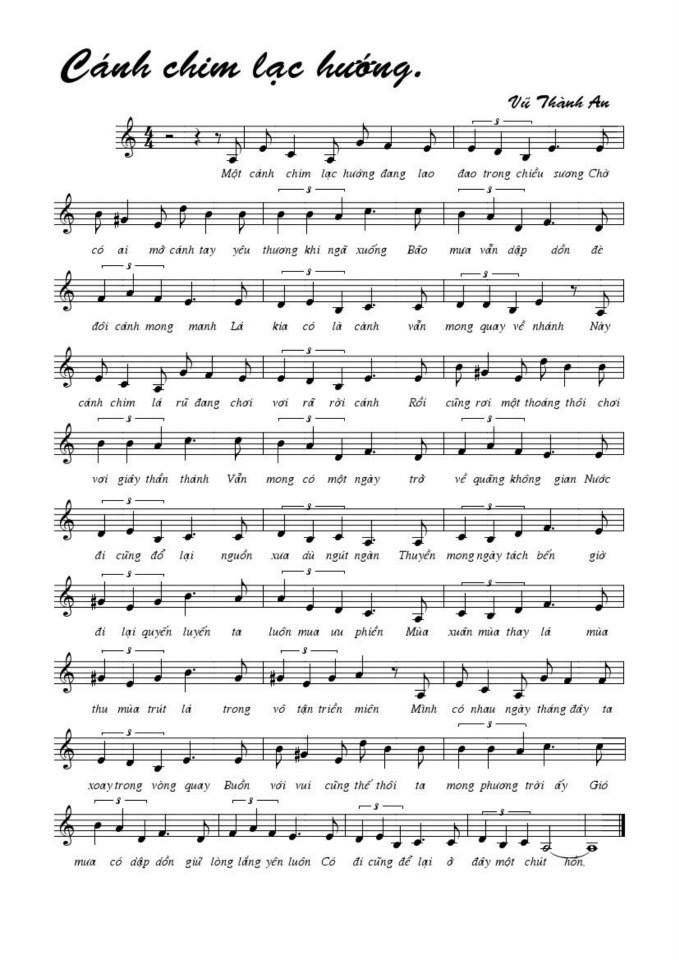 Cánh chim lạc hướng sheet