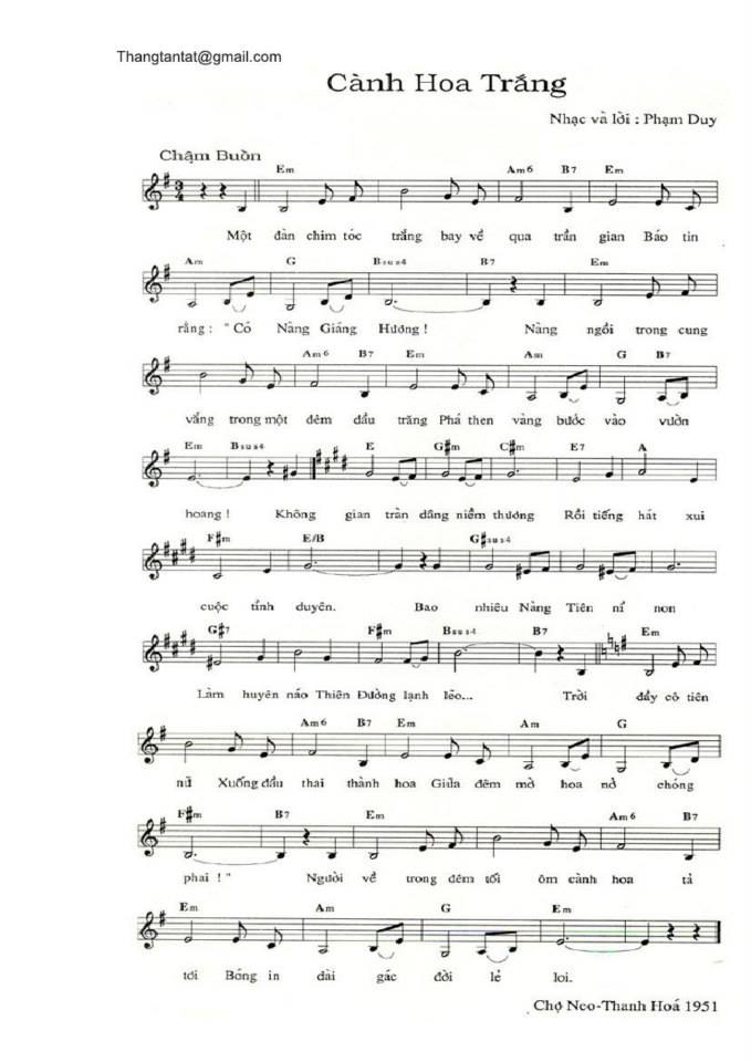 Cành hoa trắng sheet