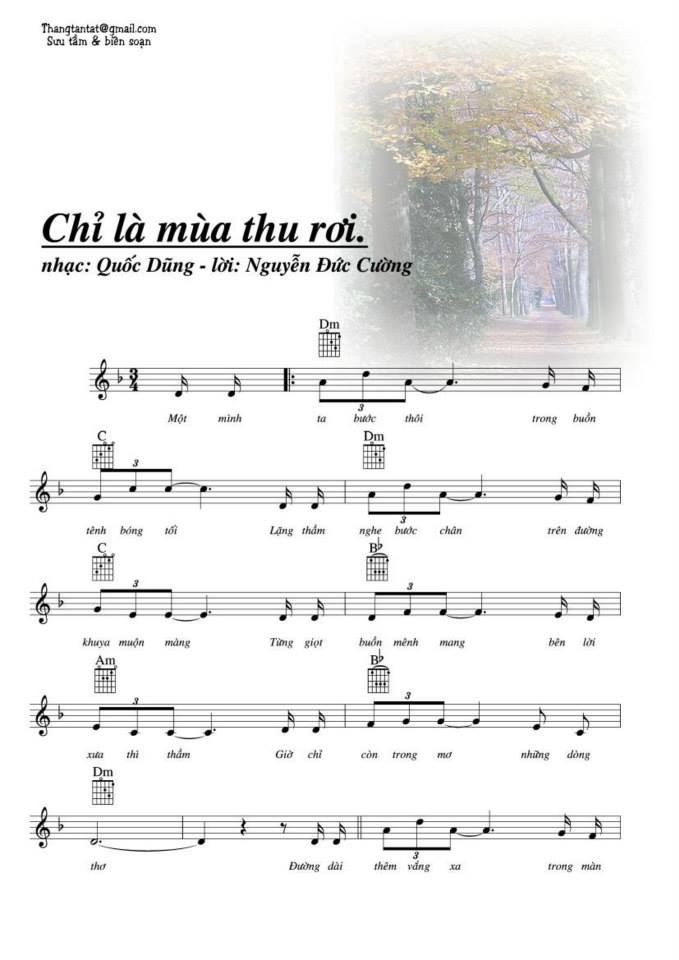 Chỉ là mùa thu rơi sheet