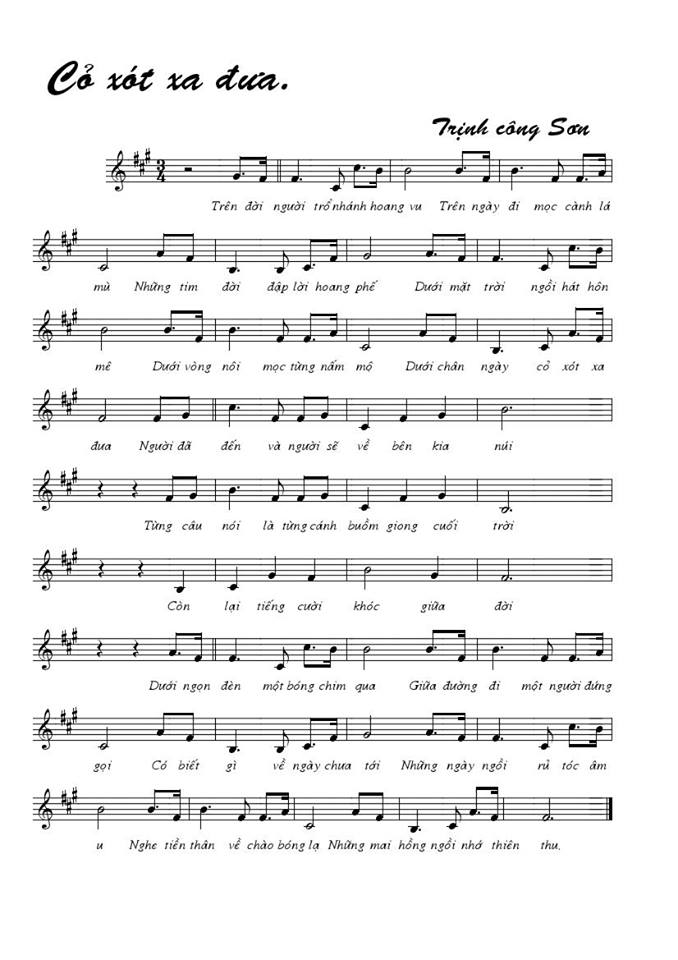 Cỏ xót xa đưa sheet