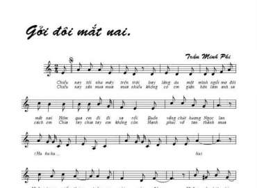 Gởi Đôi Mắt Nai sheet có lời 