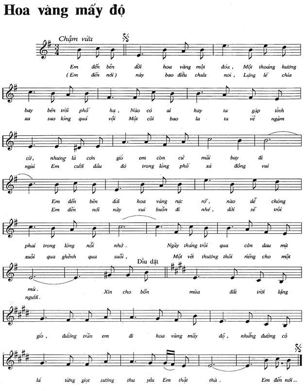 Hoa Vàng Mấy Độ sheet