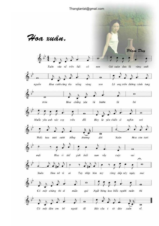Hoa Xuân sheet