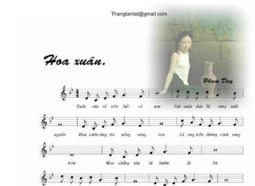 Hoa Xuân sheet có lời 