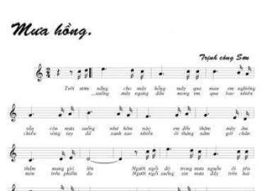 Mưa Hồng sheet có lời 