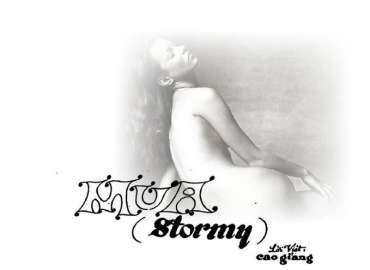 Mưa sheet có lời 