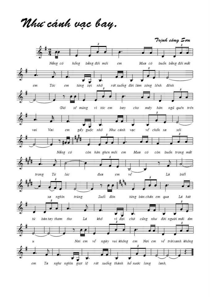 Như Cánh Vạc Bay sheet