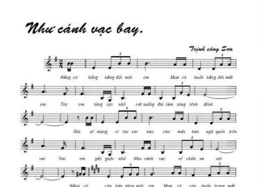 Như Cánh Vạc Bay sheet có lời 