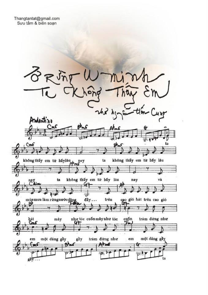 Ở Rừng U Minh Ta Không Thấy Em sheet