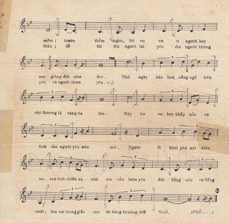 Phố Đêm sheet có lời 