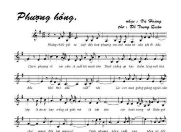 Phượng Hồng sheet có lời 