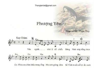 Phượng Yêu sheet có lời 
