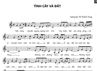 Tình Cây Và Đất sheet có lời