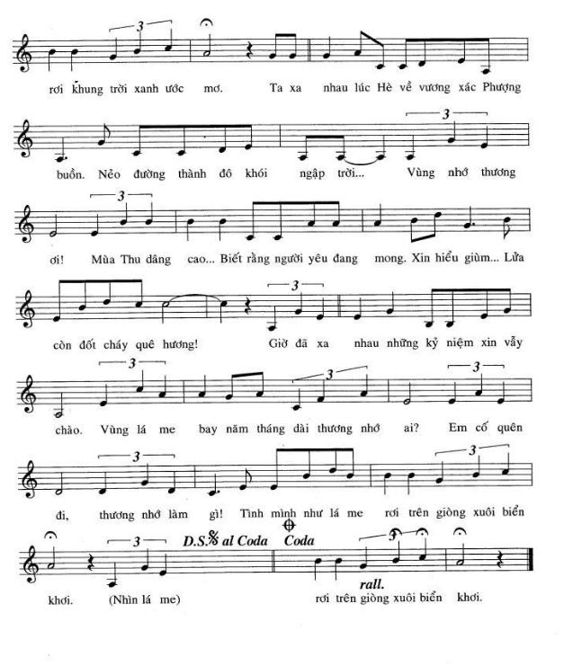 Vùng Lá Me Bay sheet