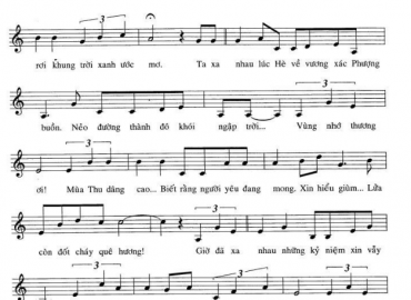 Vùng Lá Me Bay sheet có lời 