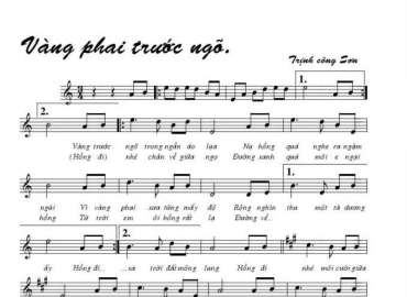 Vàng Phai Trước Ngõ sheet có lời 
