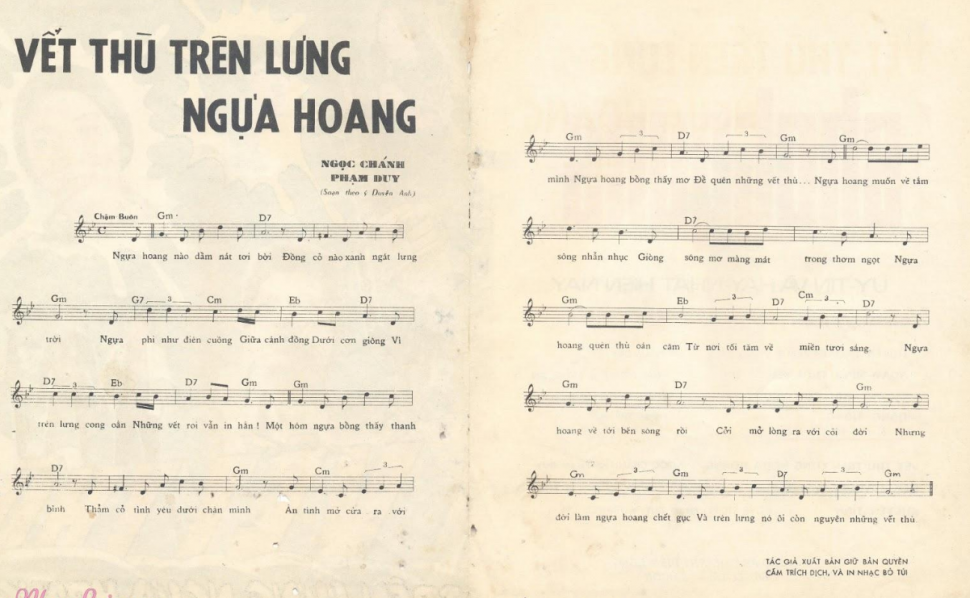 Vết Thù Trên Lưng Ngựa Hoang sheet