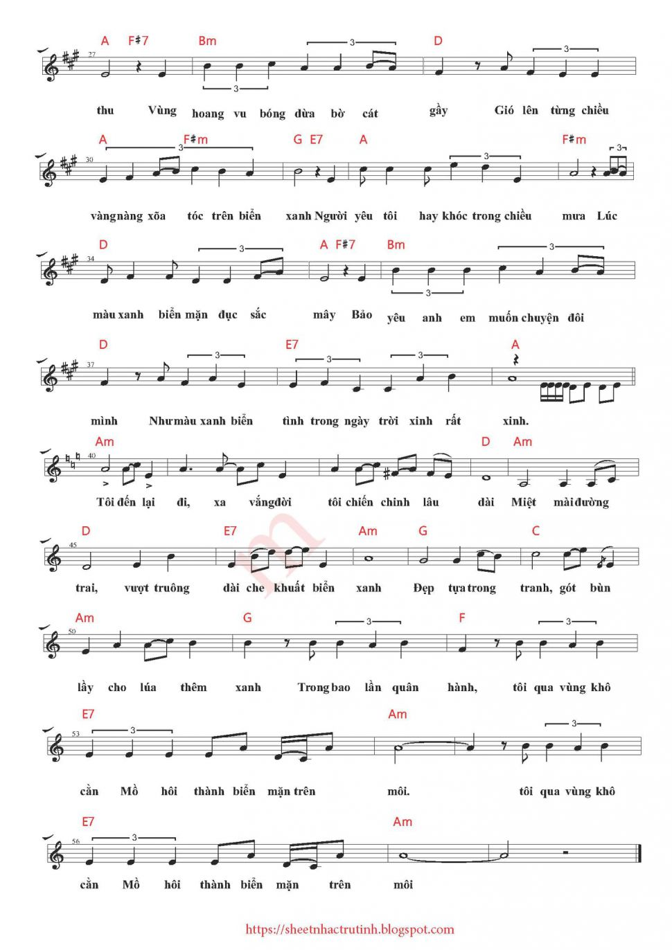 Biển Mặn sheet có lời 