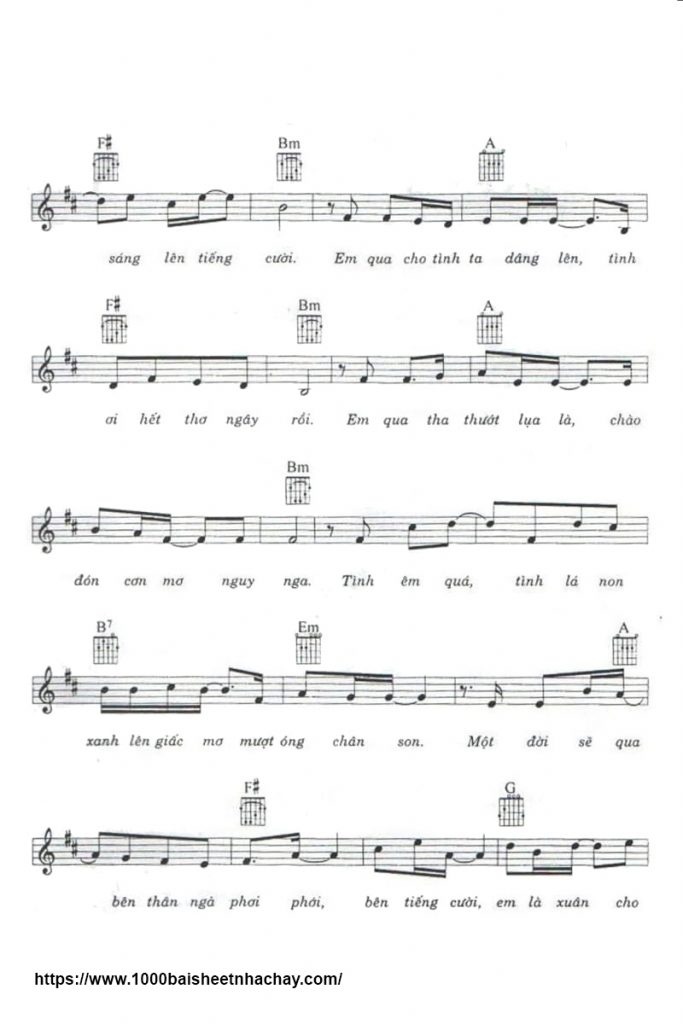 Cảm ơn một đóa xuân ngời sheet có lời