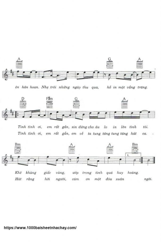 Cảm ơn một đóa xuân ngời sheet có lời