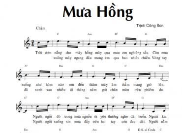 Mưa hồng sheet có lời