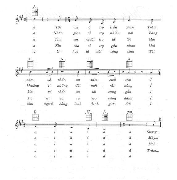 Ở trọ sheet có lời