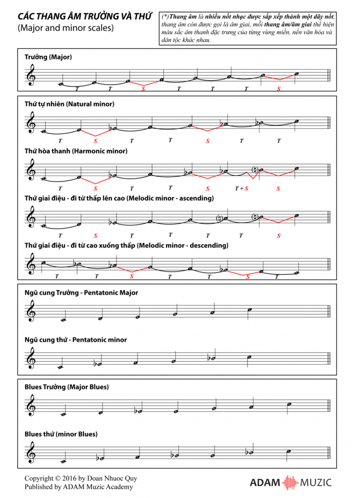Tổng hợp các thang âm và điệu thức âm nhạc