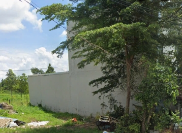 Đất Ruộng Có Sổ Đỏ Không? Thủ Tục Làm Sổ Đỏ Đất Ruộng Mới Nhất