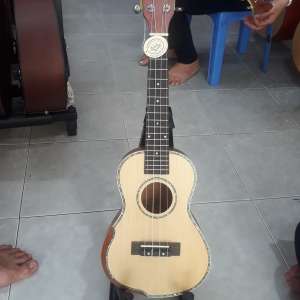 MSP : BTT28 Mahogani vạt góc đẹp.